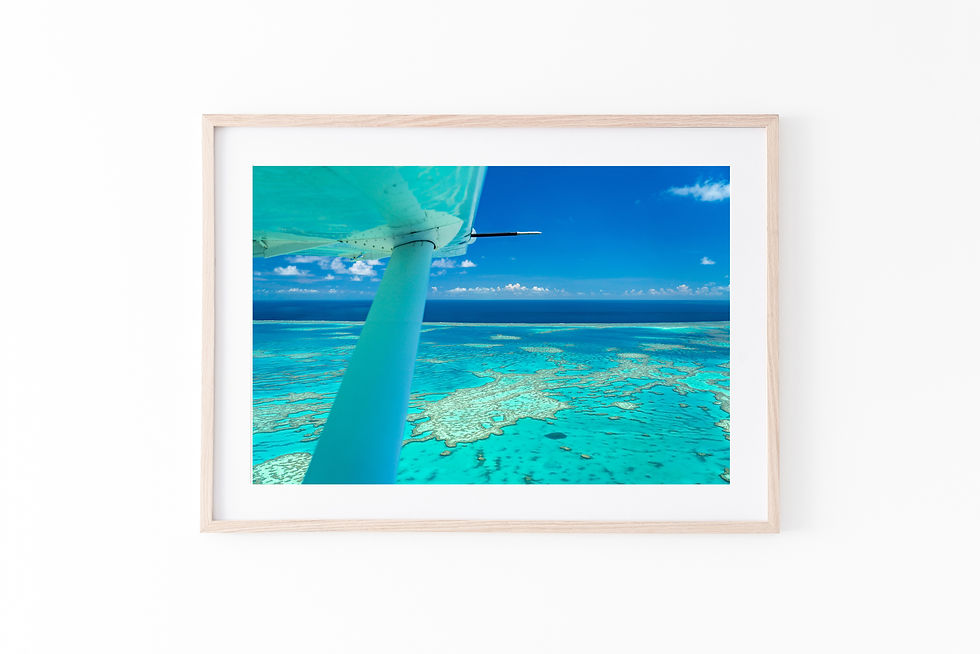 Thumbnail: Turquoise Wing