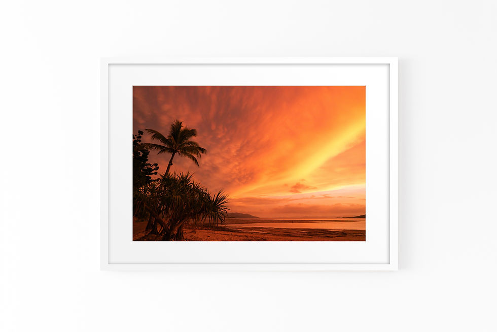 Thumbnail: Palm Silhouette, Fire Sky