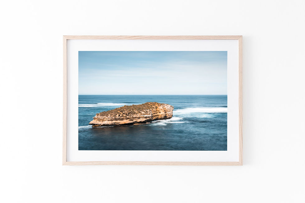 Thumbnail: Sea Slug