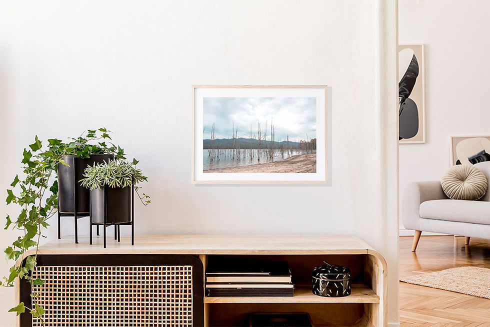 Thumbnail: Bare Shores