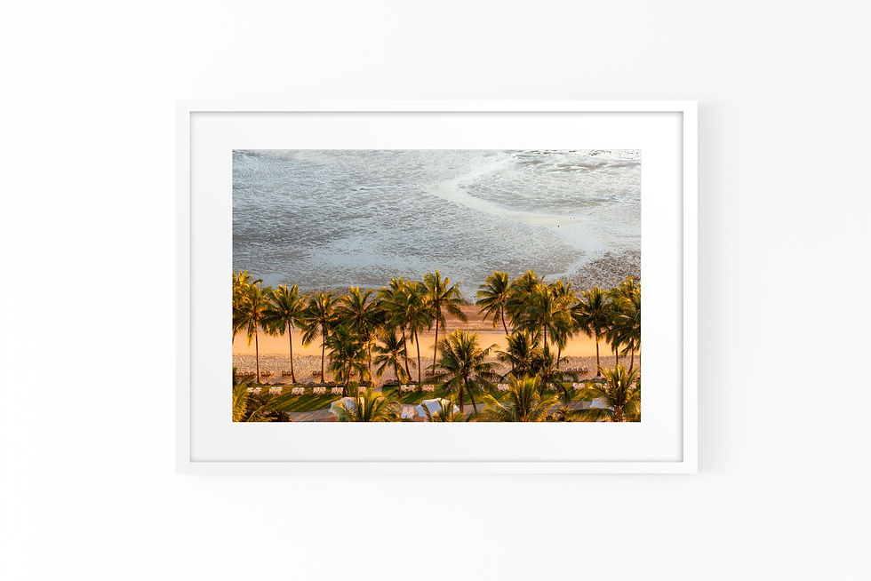 Thumbnail: Palms on the Flats