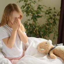 How to Reduce Indoor Allergens and Improve Allergy Symptoms