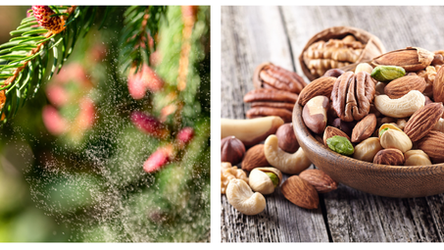 Understanding the 2 types of Tree Allergies: Tree Pollen and Tree Nuts