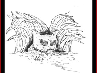 The Jersey Devil: Opportunistic
