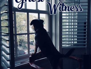Ghost Witness