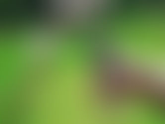 La taille de mi-saison : Parfois intimidant, toujours important.