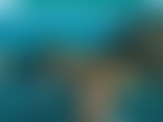 Floripa. Uma cidade para amar e viver!