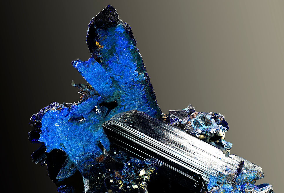 December Monthly Club Meeting!