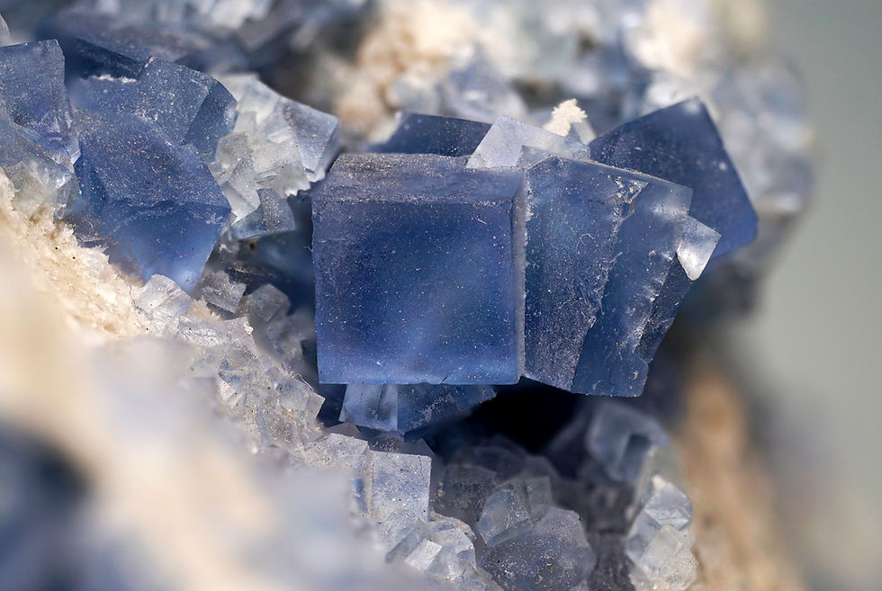 Annual Public Auction!