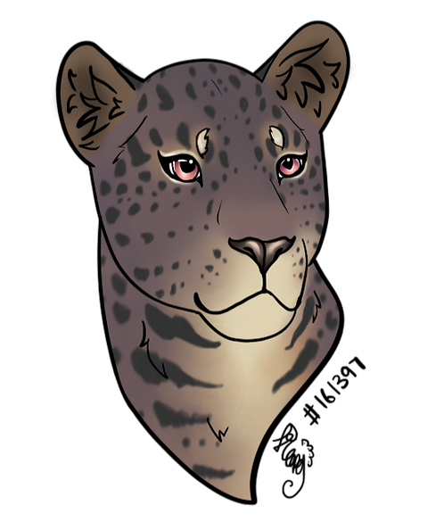 Kate's Sunset1_edited.png