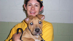 Tips when buying a new puppy