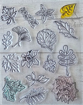 FEUILLES 01.jpg