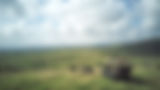 © Silverless Game Drive 7.jpg