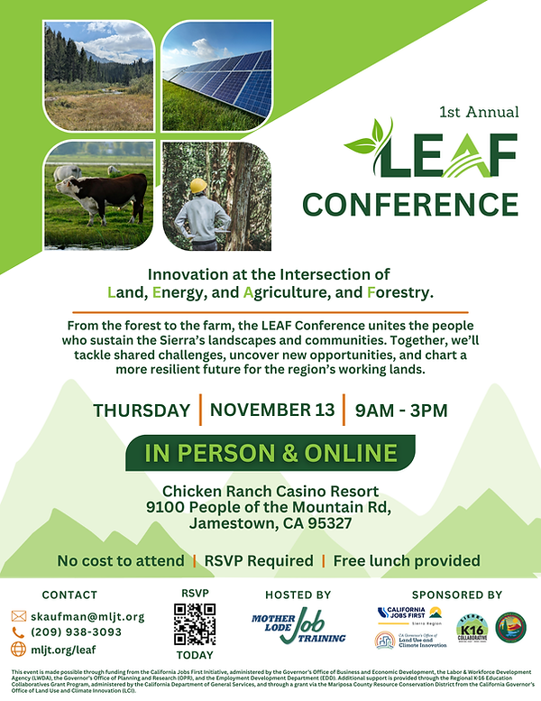 LEAF Flyer (1).png