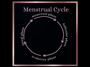 Women's Cycle: Adapting Diet and Exercise for Optimal Health and Wellness