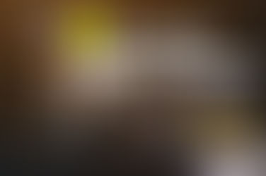 8 secrets about casinos