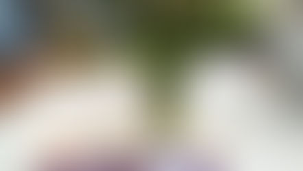 Teilnehmende gesucht für kostenfreien Online-Kurs: Arbeit finden mit Computer und Internet