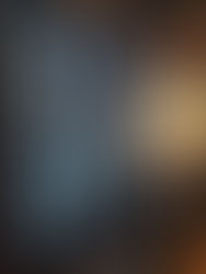 ブリリアント143/雌神戸牛・銘柄豚 肉料理 ふじおか