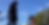 Screenshot 2026-03-17 at 7.36.56 pm.png