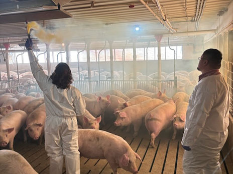 February 2025 Newsletter