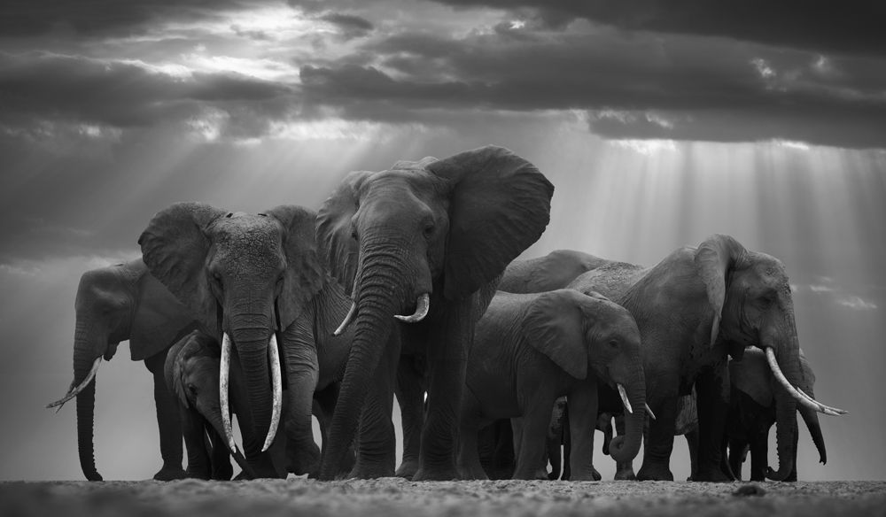 The Real Owners Of The Planet