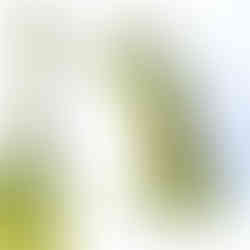 #04 Wall Climber Green Metallica from Miva Fine Art Gallery Sweden