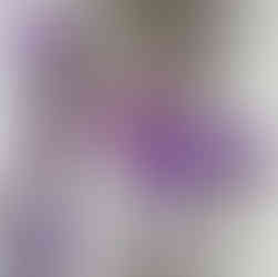 #16 Wall Climbers Magenta Swirl from Miva Fine Art Gallery  Sweden