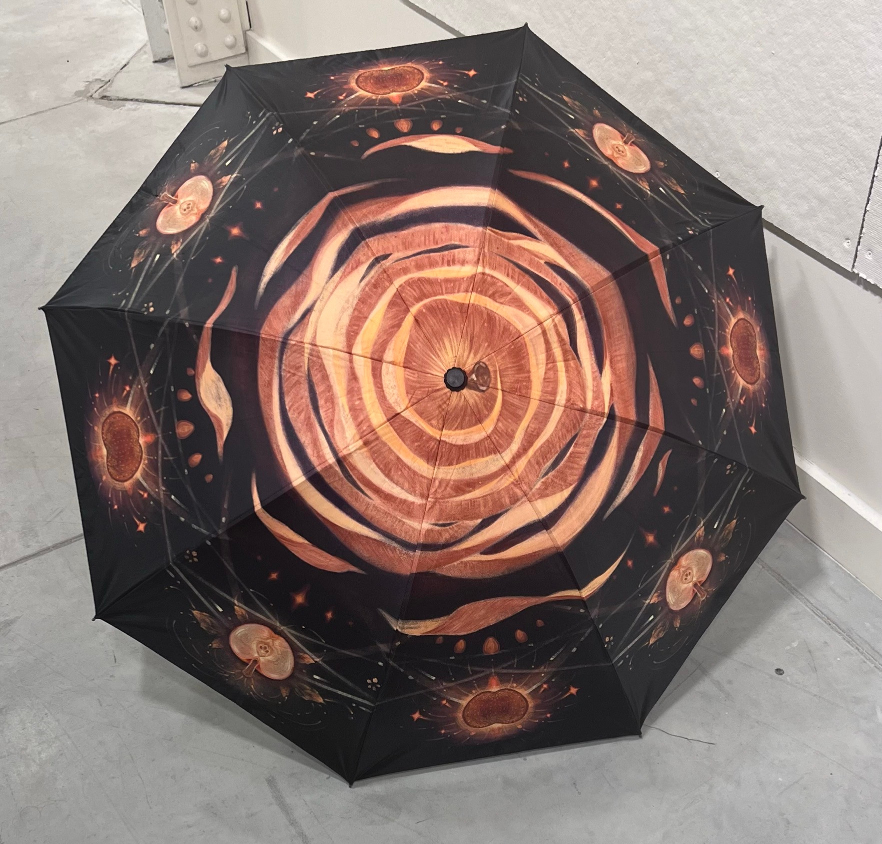 Umbrella