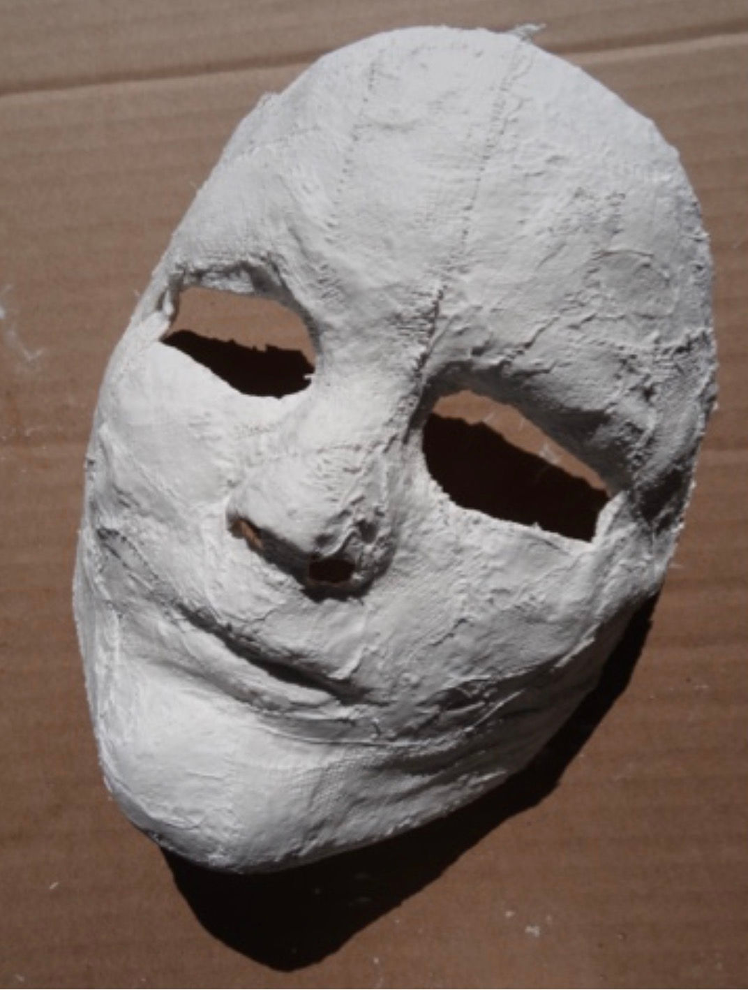 Face Mask