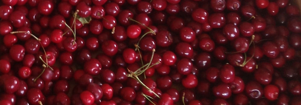 Muddy Springs Farm CSA Moscow Idaho Fruit