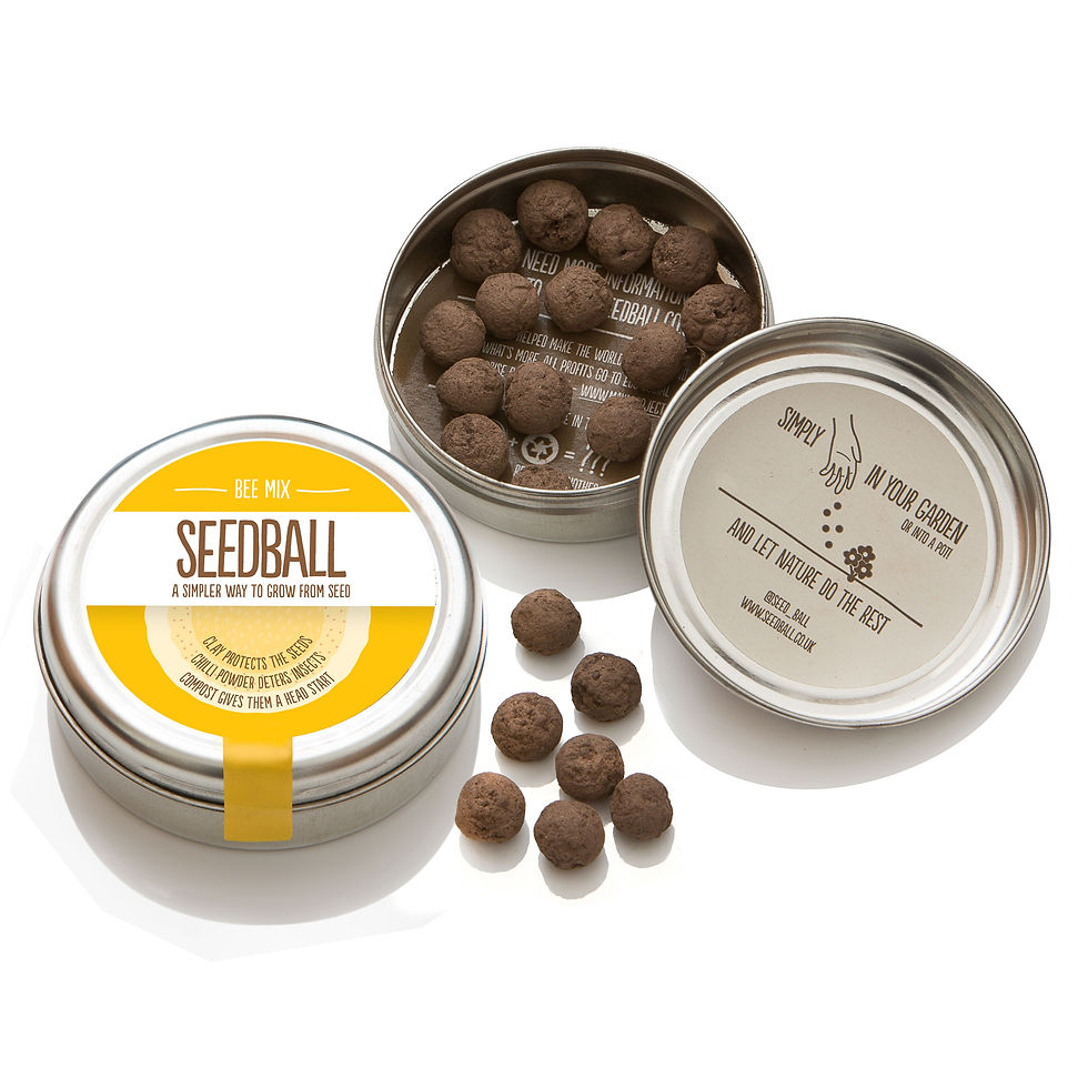 Bee Mix Tin Seed Balls