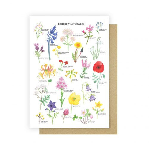 British Wildflowers Greetings Card by Sarah Frances