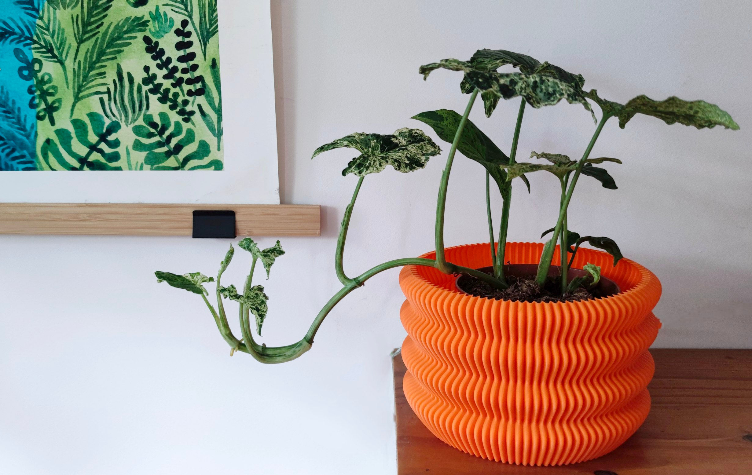 Unique 3D Printed Planter / Capri Plant Pot in Orange