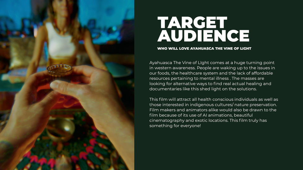 target, audience, demographic