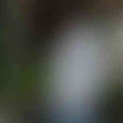 professional vertical video reels for social media fashion client