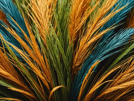 How to Incorporate More Fibre Into Your Diet