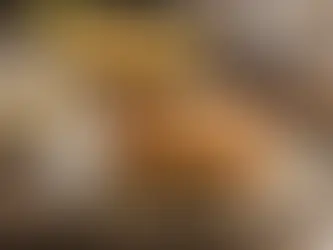 What Are Some Exciting Gluten-Free Recipes to Try?