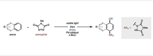 1,2-carboamination.png