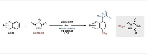 1,2-carboamination.png