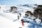 Heading-out-for-Backcountry-Tours.jpg