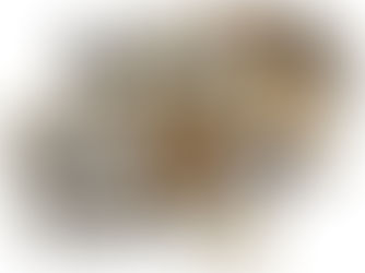 We offer 3D services