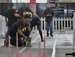 06BB1876-99D7-4202-B7B3-BD862A68E4B4_4_5