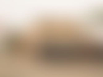 Favorite Restaurants & Bars - Shawnee, KS