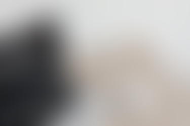 Highlighting Studio Designer Features: