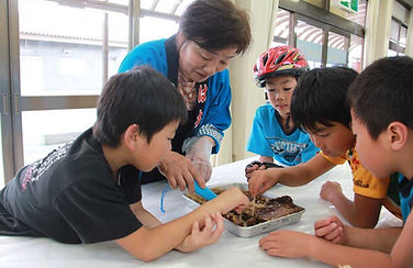 お得❗️富永朝和　はちみつ　1.2キロ お得❗️富永朝和 はちみつ 1.2キロ 【公式通販】