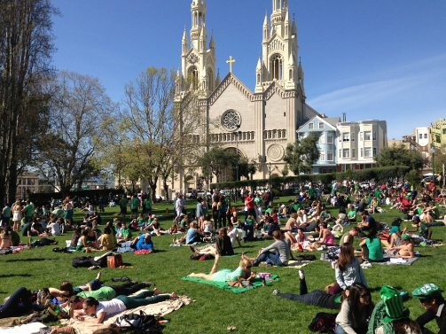 Park lawn