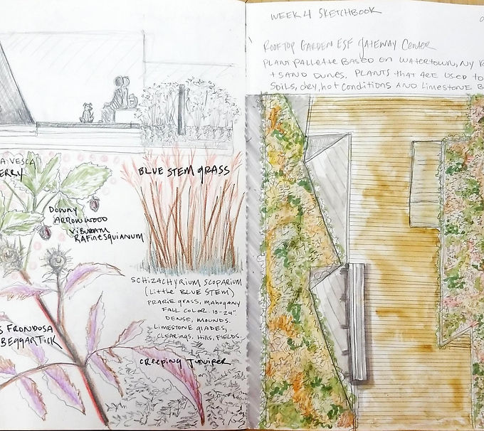 2024_09_20.HBS.Fieldbook.WK4 Hybrid.jpg