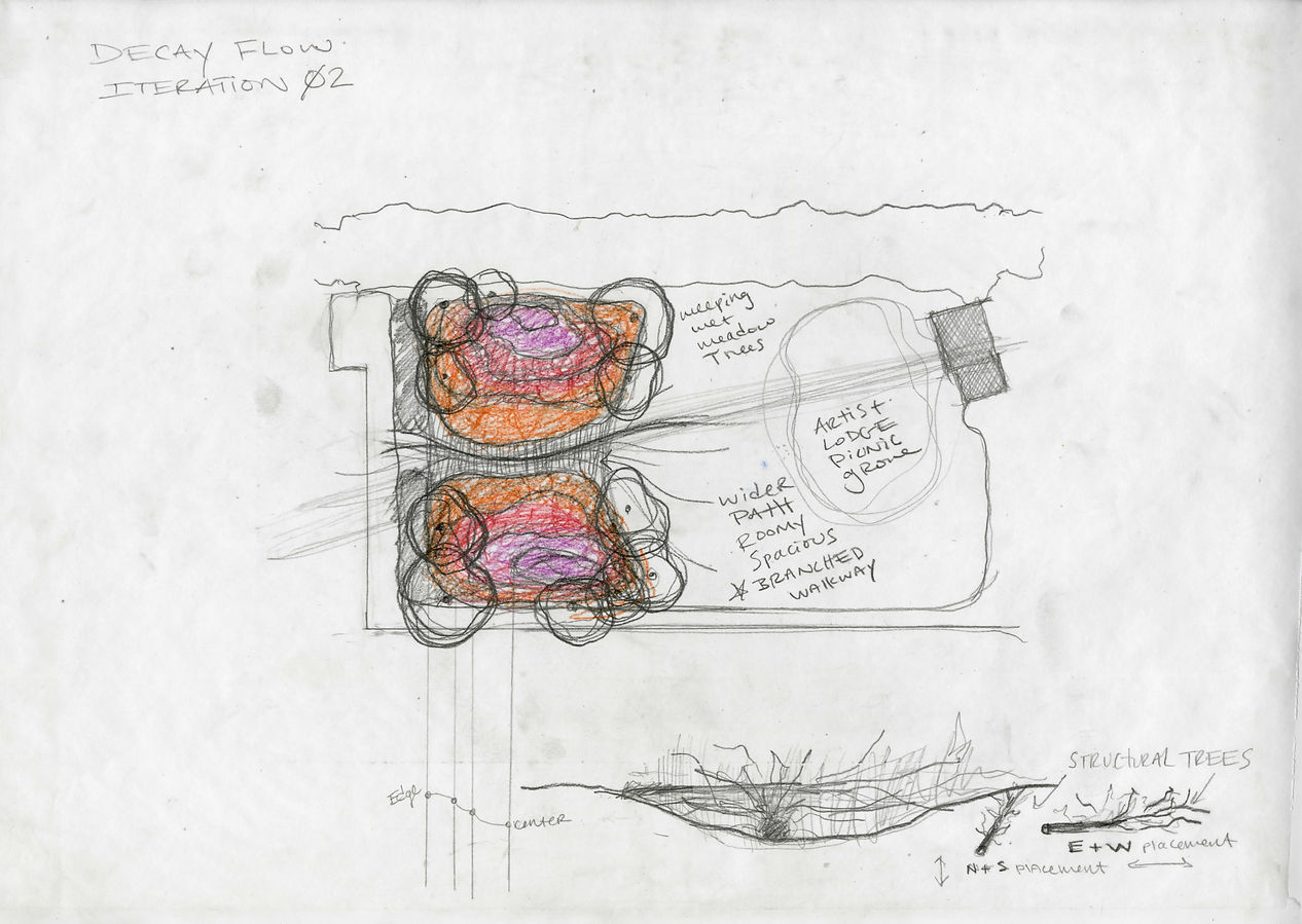Iteration 2 Wet Meadow SQAP.jpg