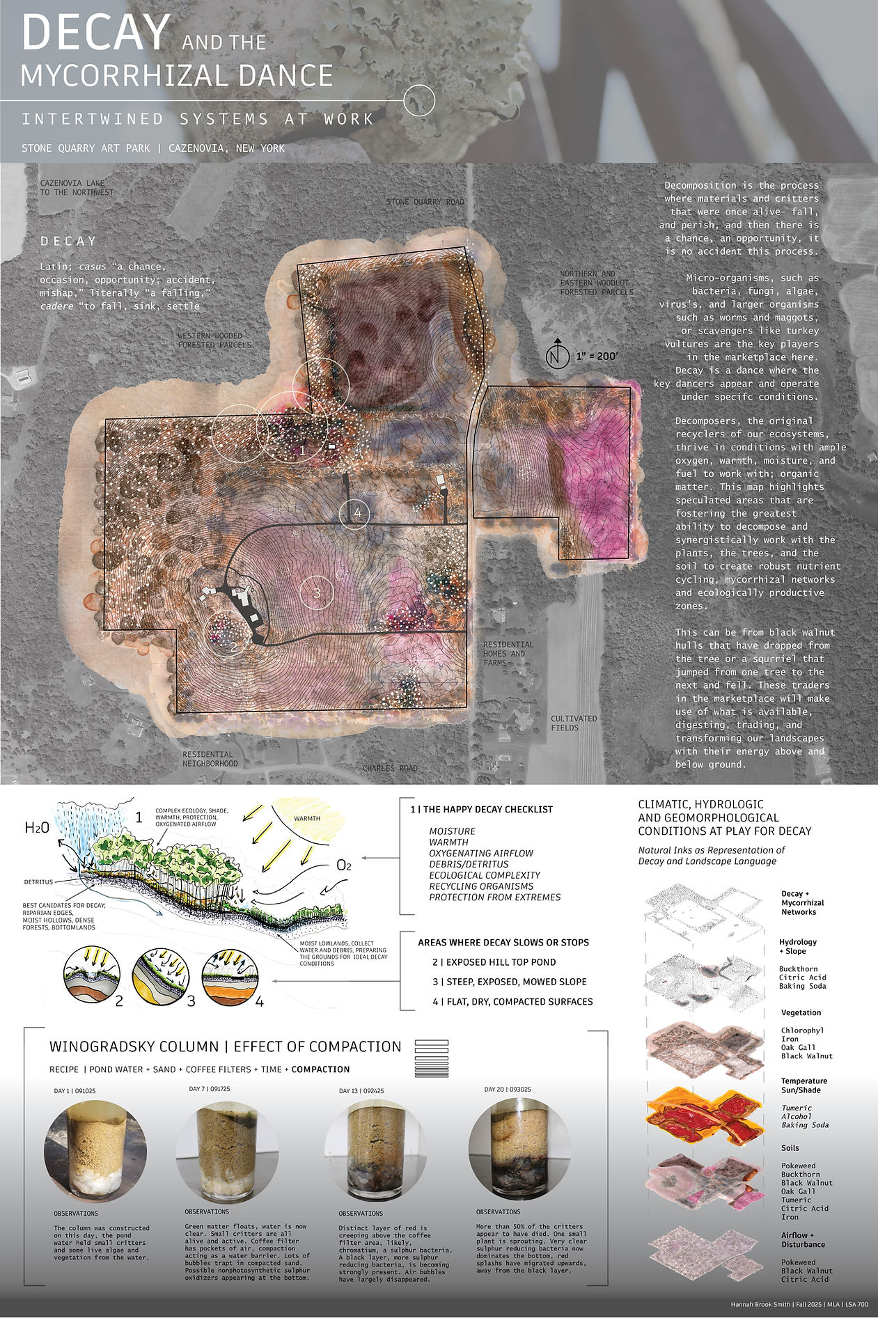 110225.decayandthemforestedge.board.yang.HBS copy.jpg