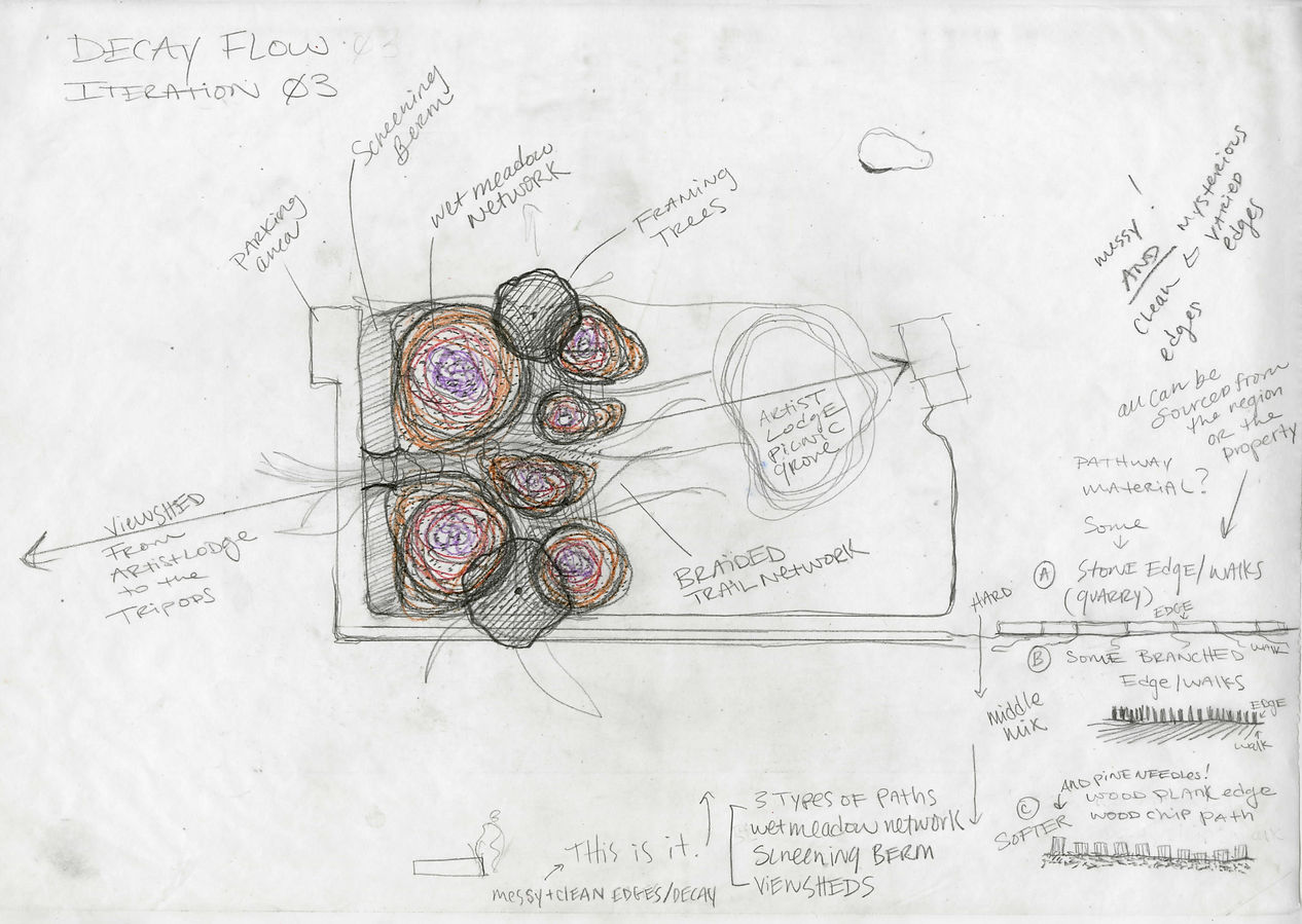 Iteration 3 Wet Meadow SQAP-1.jpg